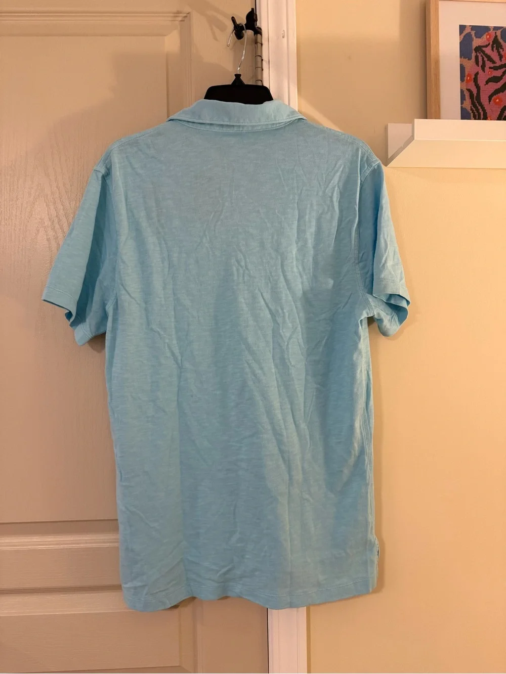 J. Crew Men's Sky Blue Polo Shirt